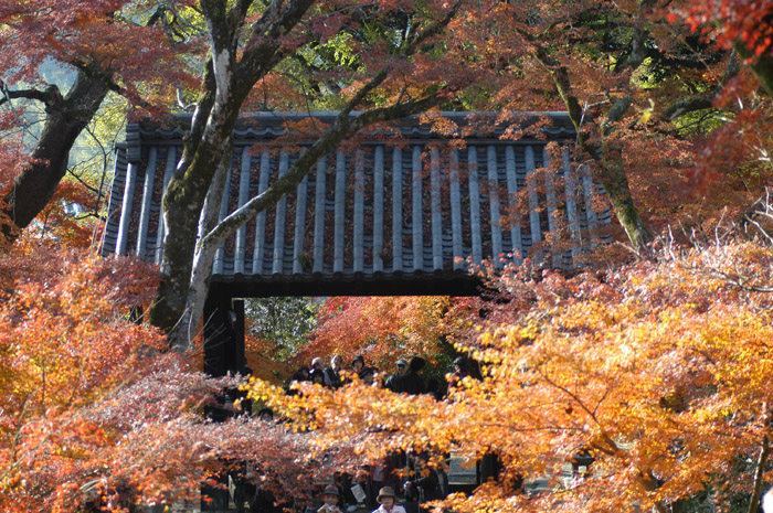 071130akiduki 026
